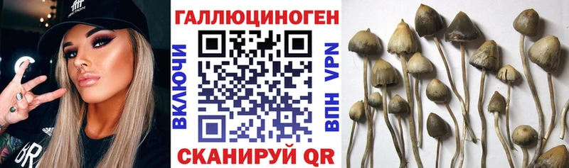 Галлюциногенные грибы мухоморы  Тихорецк 