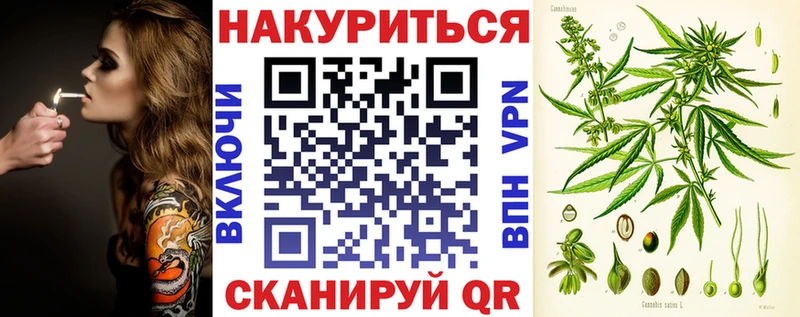 Бошки Шишки SATIVA & INDICA  где можно купить наркотик  Тихорецк 
